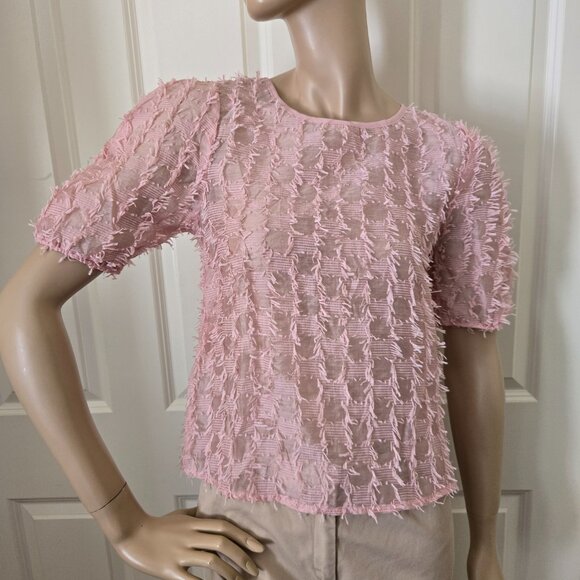 Zara Tops - Zara Fringe Mesh Short Sleeve Shirt SZ S Pink